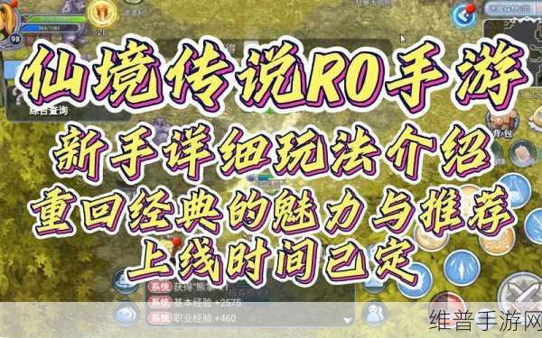 仙境传说 RO 手游迷藏森林的探秘指南