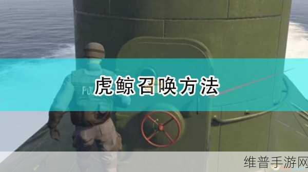 GTA5 手游，揭秘神秘虎鲸的呼出之法