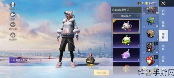 和平精英仓鼠灰灰套装价格全解析