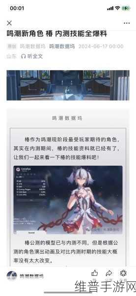 鸣潮渊武技能全解析，制霸战场的秘诀