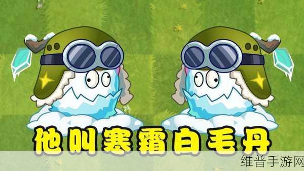 植物大战僵尸中那些令人失望的植物角色