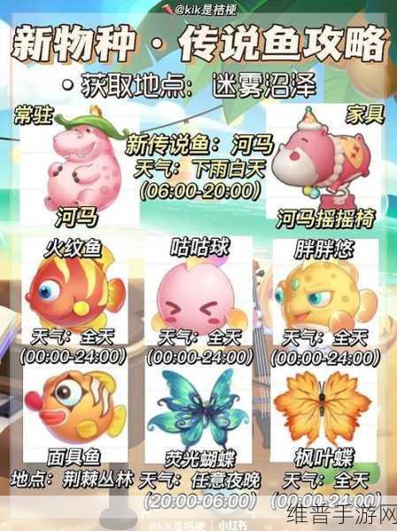 摩尔庄园手游，美美鱼全攻略解析