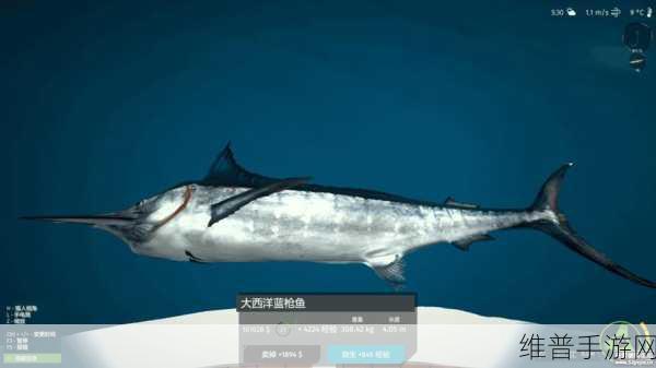 龙之谷 2 钓鱼秘籍,技巧与稀有鱼种全攻略