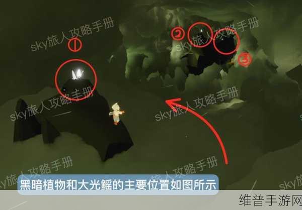 光遇风行季首个任务全攻略