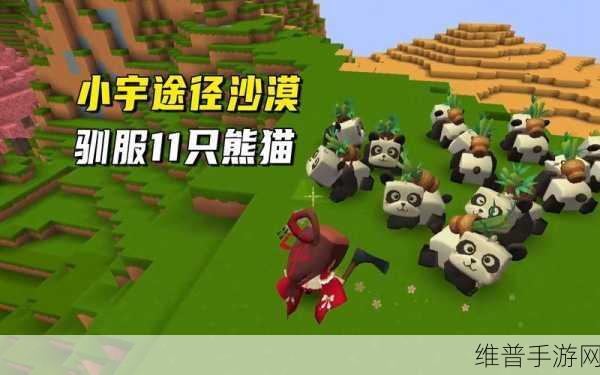 迷你世界，探寻熊猫踪迹，解锁技能搭配秘籍