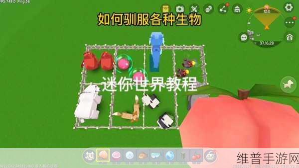 迷你世界,探寻熊猫踪迹,解锁技能搭配秘籍
