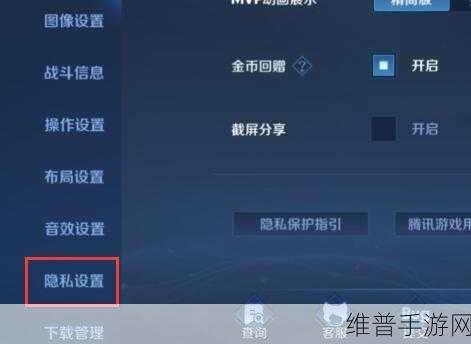 王者荣耀，探究历史战绩能否删除及相关攻略