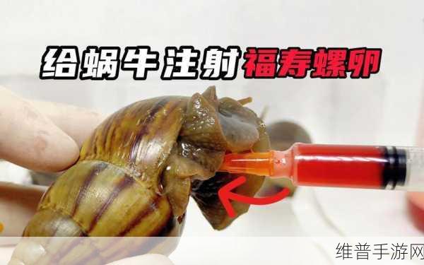 最强蜗牛探索移速的深度剖析与实用价值