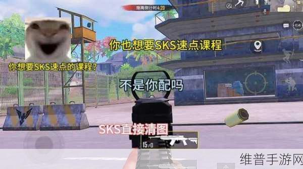 和平精英，揭秘远程精准射击之王的传奇之路