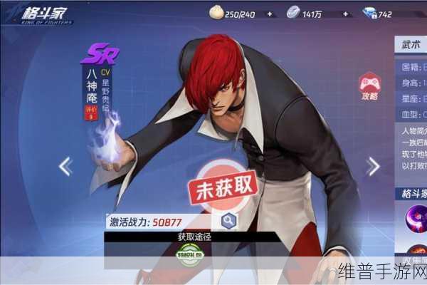 拳皇世界，八神庵，不败格斗之魂