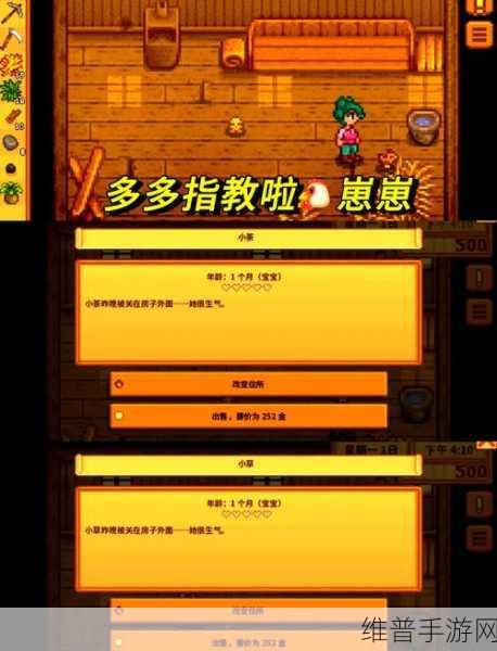 星露谷物语 13 心开启秘籍大揭秘
