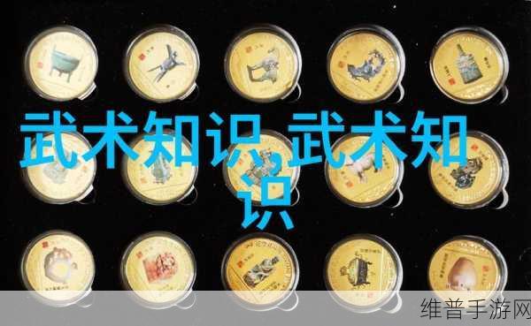烟雨江湖提纵术深度解析，武学奥秘与实战威力
