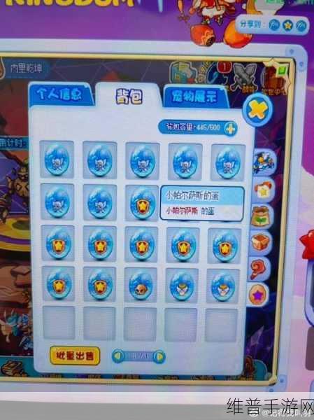 洛克王国，秘宝小帕性格与搭配全解析
