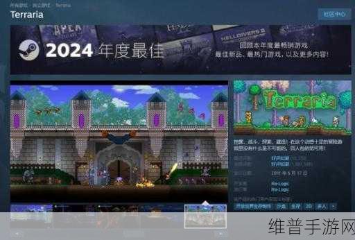 泰拉瑞亚，Steam 版与手机版联机的可行性探索