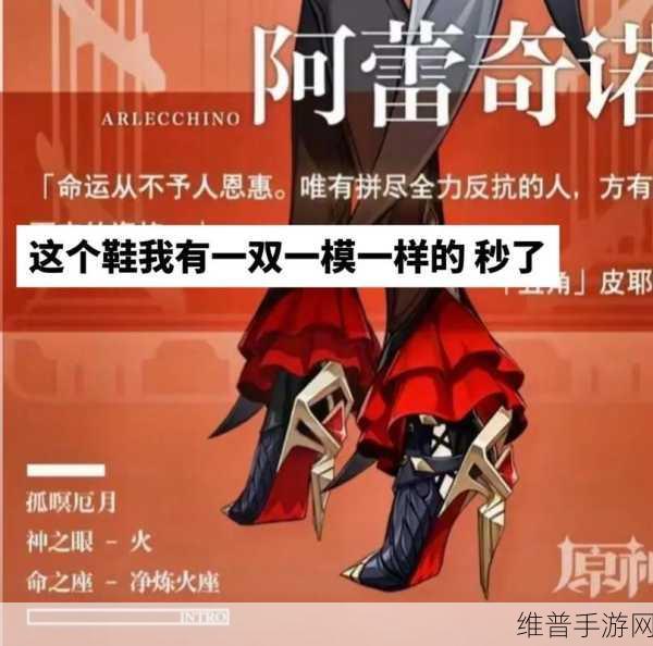 原神，珍稀之鸟飞走后的应对策略