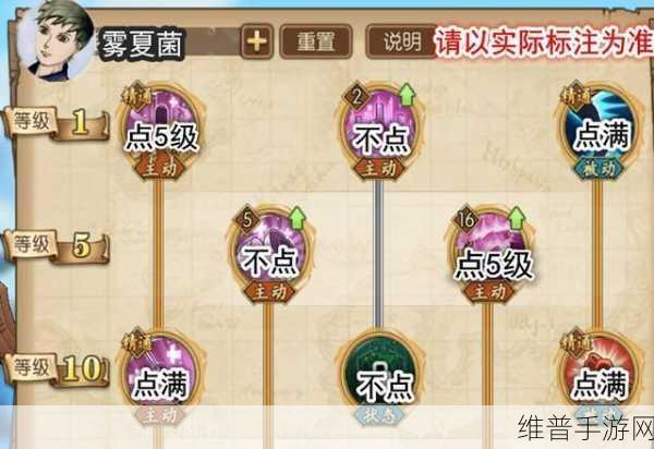 航海王启航，乔巴试炼全方位剖析与实用价值洞察
