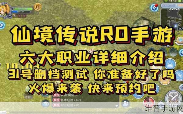 仙境传说 RO 手游,迷藏森林完美走法全解析