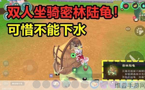 创造与魔法,轻松驯服乌龟的秘籍指南