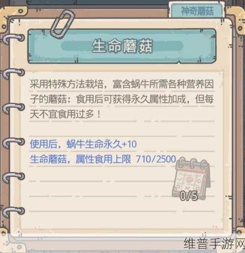 最强蜗牛蘑菇最佳吃法全攻略