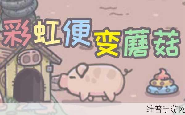 最强蜗牛蘑菇最佳吃法全攻略
