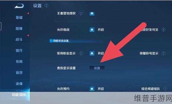 王者荣耀贵族居中设置全攻略