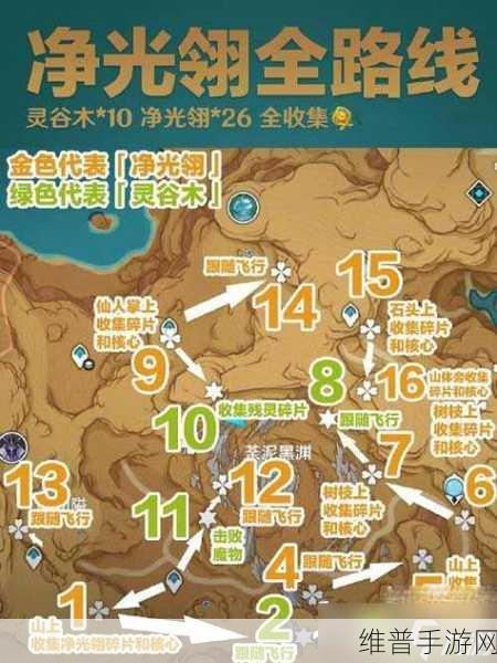 原神，灵谷木与净光翎位置全攻略