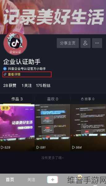 抖音商城添加首页秘籍，手游公司的全面解析