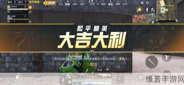 和平精英，迅速变强的秘籍与超强玩法大揭秘