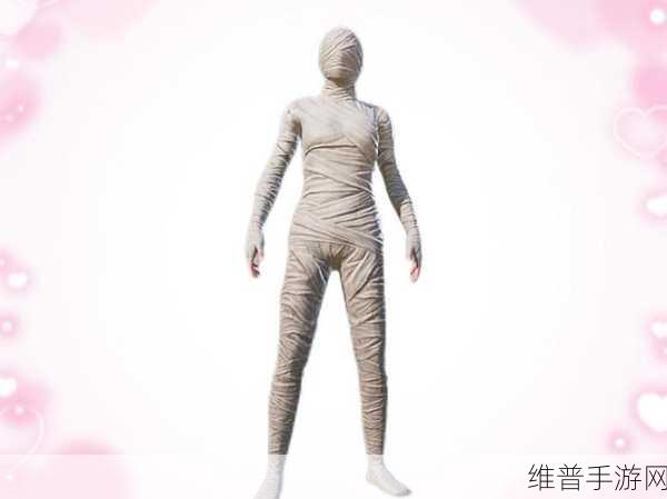 和平精英逍遥一梦皮肤套装全解析