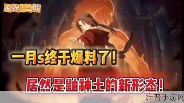 火影忍者手游周年庆限定忍者抉择指南