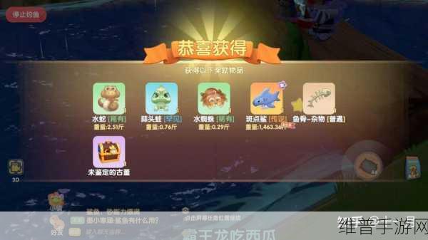 摩尔庄园手游，鲨鱼刷新位置全解析