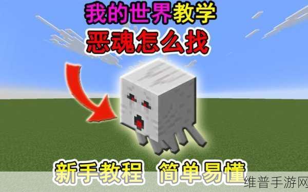 我的世界，深入解析恶魂的神秘世界