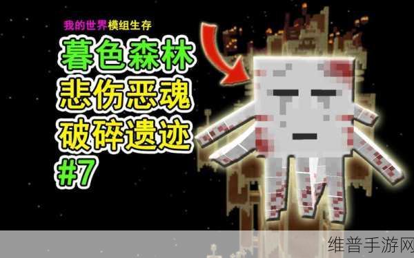 我的世界,深入解析恶魂的神秘世界