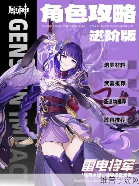 原神雷电将军主 C 全方位攻略指南