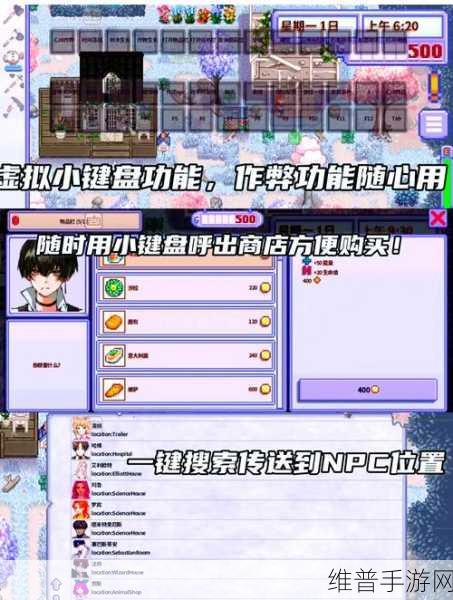 星露谷物语展览会，全面攻略秘籍大揭秘