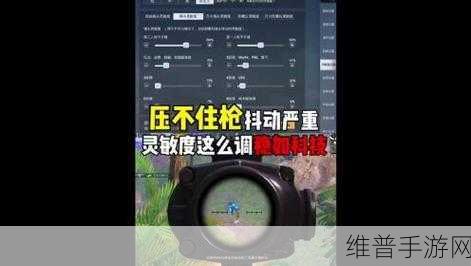 和平精英腰射灵敏度的最佳设置与技巧秘籍
