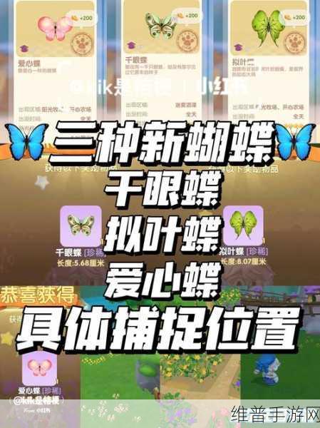 摩尔庄园手游，家禽小屋位置全解析