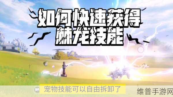 妄想山海，解锁宠物独特魅力 皮肤获取秘籍大公开