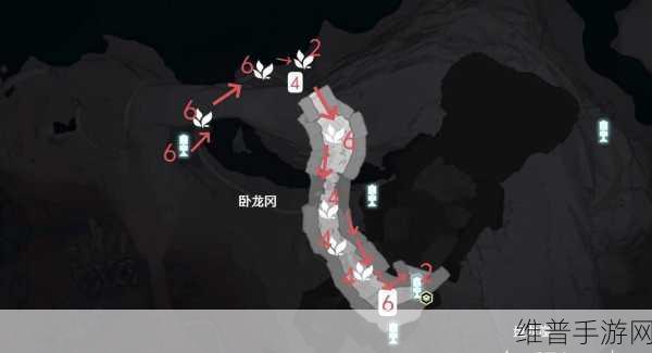 鸣潮手游龙吐珠采集全攻略