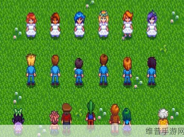星露谷物语花舞节全攻略，地点与精彩玩法