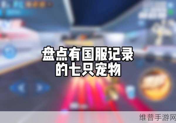 QQ 飞车手游,腾空宠物巅峰对决