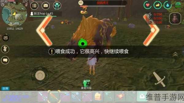 创造与魔法,四十级升不上去 41 级的秘密解析