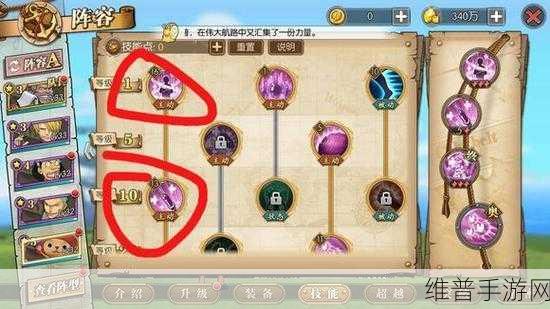 航海王燃烧意志，新手必知的全方位攻略秘籍