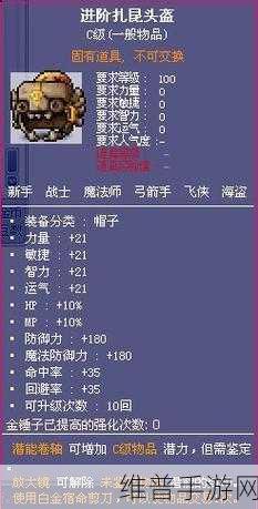 泰拉瑞亚，冰霜女巫的珍稀掉落宝物全解析