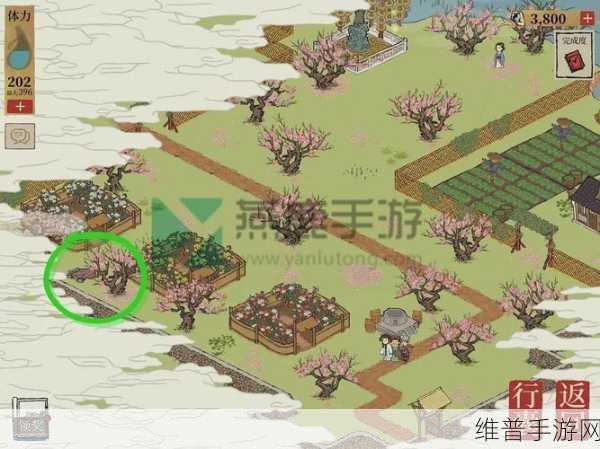 探索江南百景图桃花坞 深挖隐藏奖励之谜