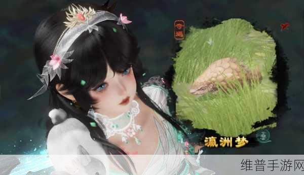 剑网 3重洋客宠物奇遇全攻略指南