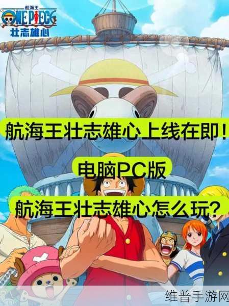 航海王壮志雄心，深度解析游戏机制，称霸海洋不是梦
