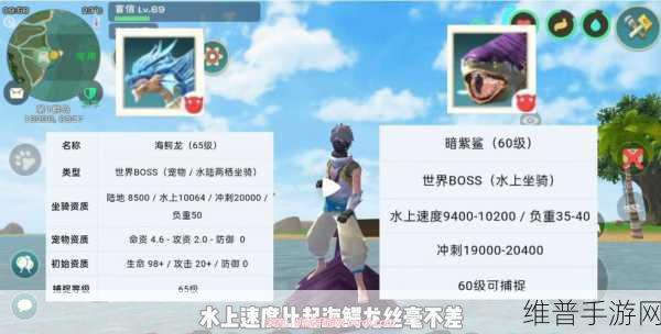 创造与魔法，探寻幼鲭鲨饲料的神秘所在