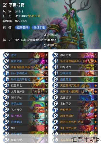 炉石传说许愿井贼卡组的深度解析与实战指南
