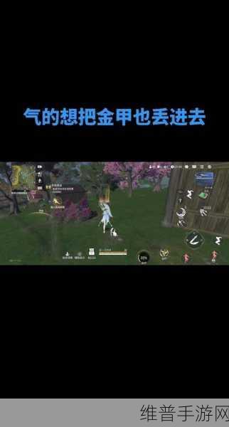 炉石传说许愿井贼卡组的深度解析与实战指南